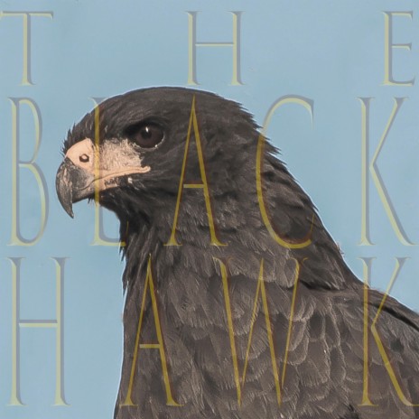 The Black Hawk