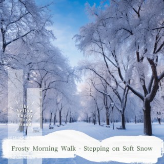 Frosty Morning Walk - Stepping on Soft Snow