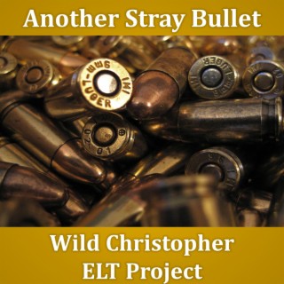 another stray bullet