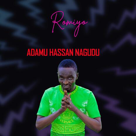 Adamu Hassan Nagudu Romiyo