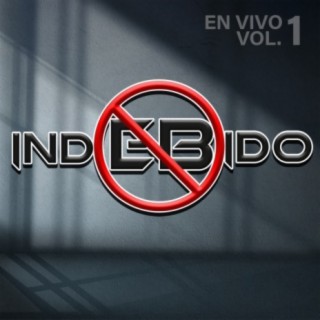 Indebido