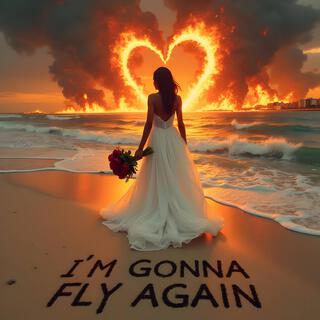 I'm Gonna Fly Again lyrics | Boomplay Music