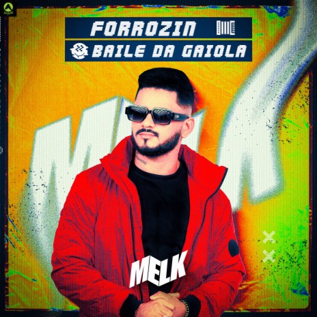 Forrózin Baile da Gaiola ft. Rave Produtora | Boomplay Music