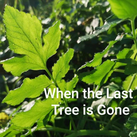 When the Last Tree is Gone