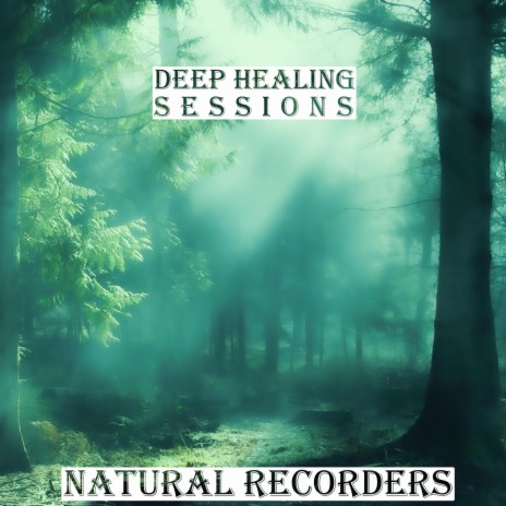 Deep Healing Sessions: Sleeping Sounds | Boomplay Music