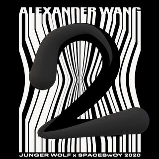 ALEXANDER WANG 2 (golf wang)