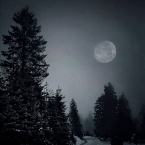 COLD MOON | Boomplay Music