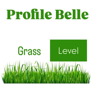 Grass Level