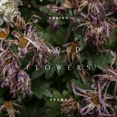 Faded Flowers (Rain) ft. Bringer of Zen & Reiki