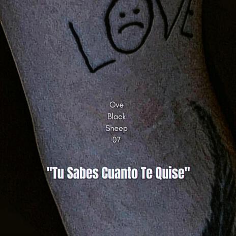 Tu Sabes Cuanto Te Quise | Boomplay Music