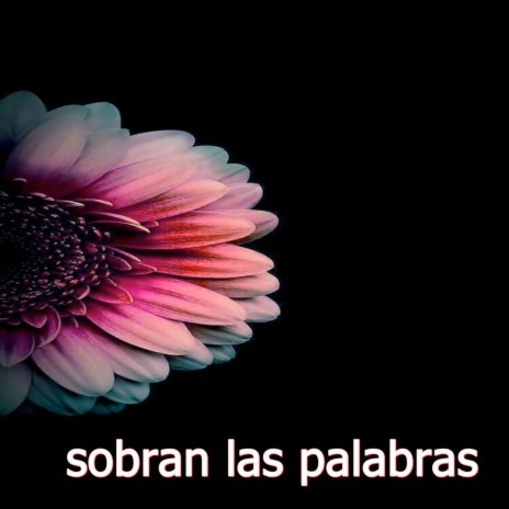 sobran las palabras | Boomplay Music