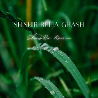 Shishir Bheja Ghash