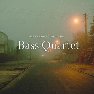 Bass Quartet - Who are these