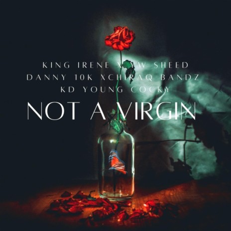 NOT A VIRGIN ft. YW SHEED, DANNY 10K, CHIRAQ BANDZ & KD YOUNG COCKY | Boomplay Music