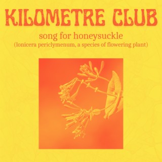 Song for Honeysuckle (lonicera periclymenum, a species of flowering plant)