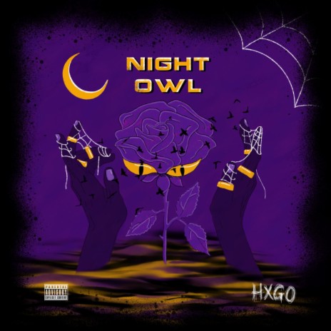 Night Owl | Boomplay Music