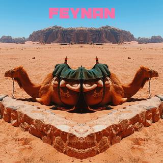 Feynan