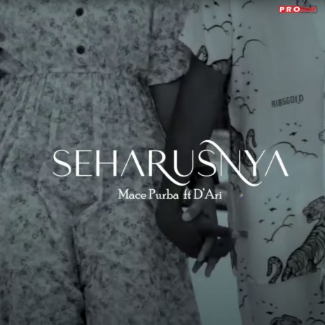 Seharusnya ft. D'Ari | Boomplay Music