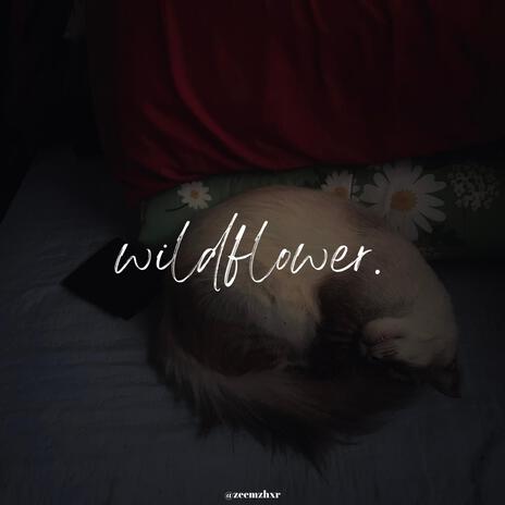 wildflower | Boomplay Music