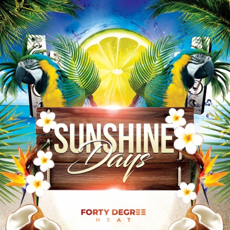 Sunshine Days | Boomplay Music