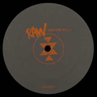 Raw Grooves, Vol.5