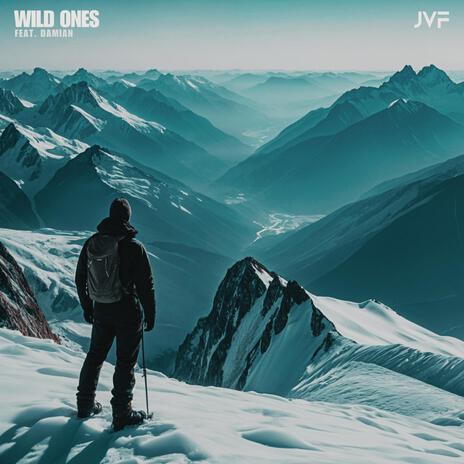 Wild Ones ft. Damian | Boomplay Music