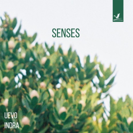 Senses ft. Indra | Boomplay Music