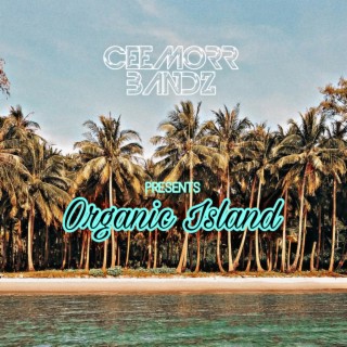 Organic Island
