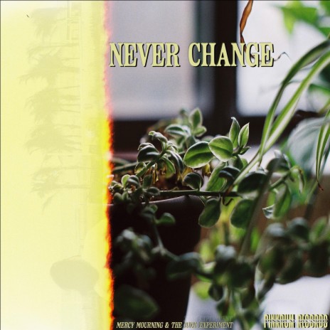 Never Change ft. The Junk Experiment | Boomplay Music