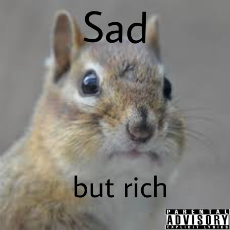Sad But Rich | Boomplay Music