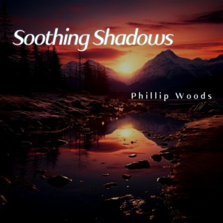 Soothing Shadows: Night Nature Relaxation Music