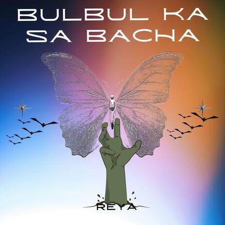 BULBUL KA SA BACHA | Boomplay Music