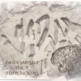 Calea Sarpelui Vol.2 Instrumentale