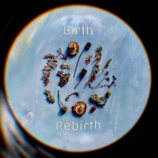 Birth/Rebirth lyrics | Boomplay Music
