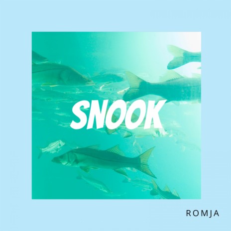Snook | Boomplay Music