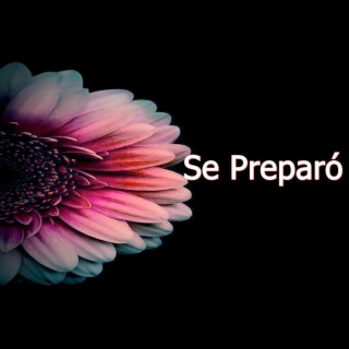 Se Preparó