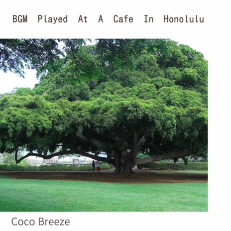 Hawaiian Atmosphere | Boomplay Music