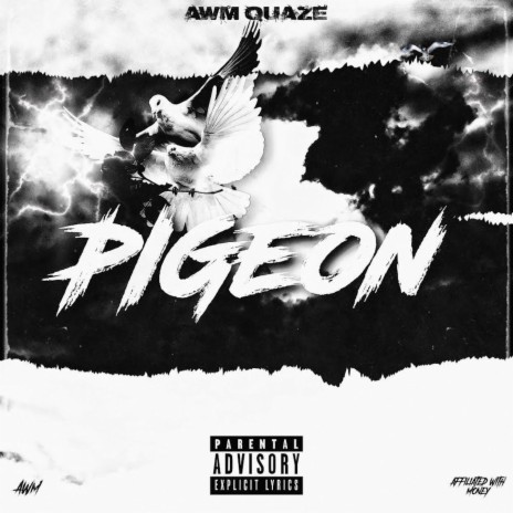 Pigeon | Boomplay Music