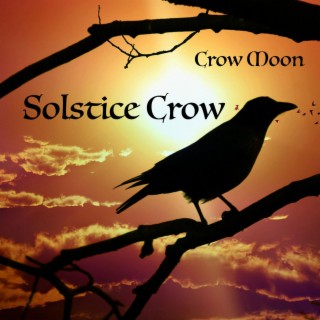 Solstice Crow