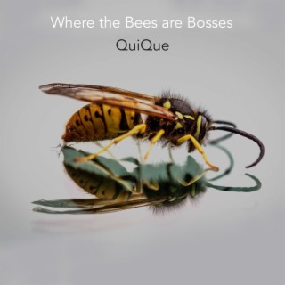 Where the Bees are Bosses