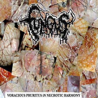 VORACIOUS PRURITUS iN NECROTIC HARMONY