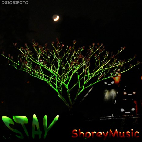 Stay | Boomplay Music