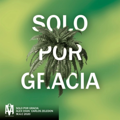 Solo por Gracia ft. Carlos Zeledon | Boomplay Music