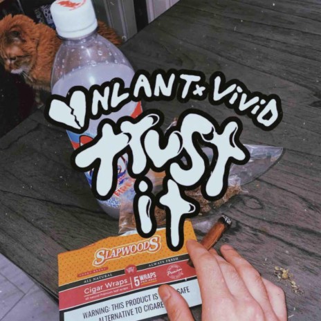 Trust it ft. Vivid | Boomplay Music