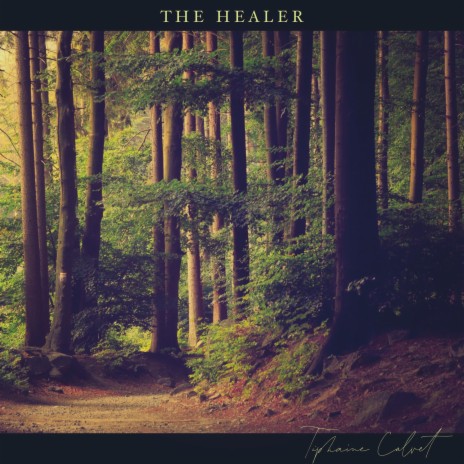 The Healer | Boomplay Music