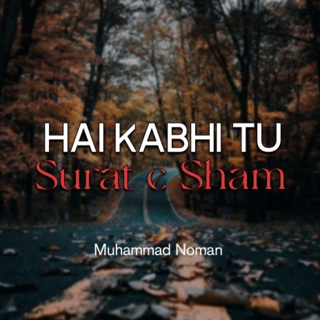 Hai Kabhi Tu Surat e Sham | Boomplay Music