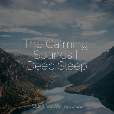 Sleepy ft. Relaxing Music & Nature Soundscape | Boomplay Music