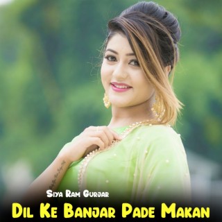 Dil Ke Banjar Pade Makan