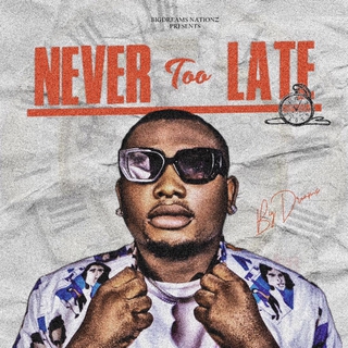 Never too late ft. Swagine & 6ix billion lyrics | Boomplay Music