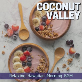 Relaxing Hawaiian Morning BGM